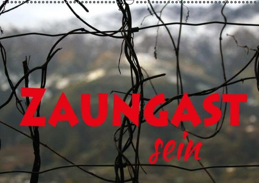 Zaungast sein (Wandkalender 2016 DIN A2 quer): 13 Blicke über den Zaun nach drinnen und draußen (Monatskalender, 14 Seiten ) (CALVENDO Natur) Calendars