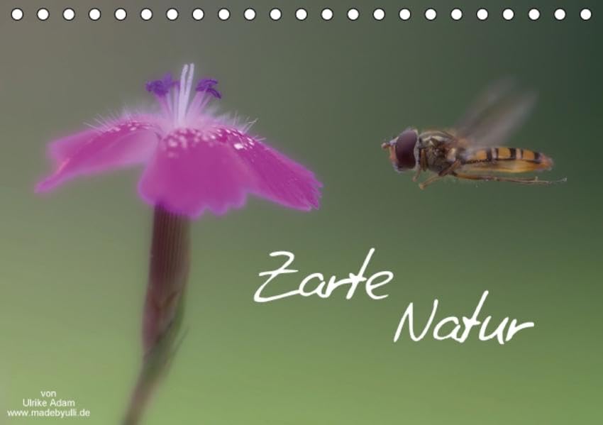 Zarte Natur 2016 (Tischkalender 2016 DIN A5 quer): Zarte Schönheiten unserer Natur (Monatskalender, 14 Seiten ) (CALVENDO Natur) Calendars