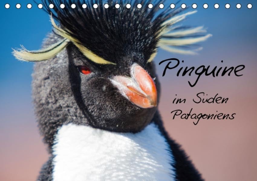 Pinguine im Süden Patagoniens (Tischkalender 2016 DIN A5 quer): Faszinierende Fotos von Rockhopper und Magellan Pinguinen im Süden Patagoniens (Monatskalender, 14 Seiten ) (CALVENDO Orte) Photography