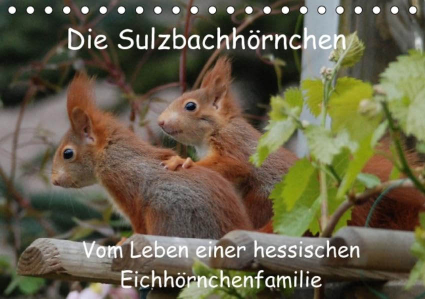 Die Sulzbachhörnchen - vom Leben einer hessischen Eichhörnchenfamilie (Tischkalender 2016 DIN A5 quer): Dieser Kalender zeigt die Eichhörnchen ... (Monatskalender, 14 Seiten ) (CALVENDO Tiere) Calendars