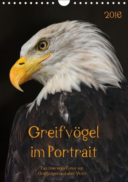 Greifvögel im PortraitAT-Version (Wandkalender 2016 DIN A4 hoch): Faszinierende Fotos von Greifvögeln aus aller Welt (Monatskalender, 14 Seiten ) (CALVENDO Tiere) Calendars