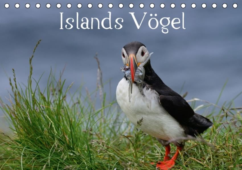 Islands Vögel (Tischkalender 2016 DIN A5 quer): Islands Vogelwelt ist faszinierend und vielfältig und immer eine Reise Wert. (Geburtstagskalender, 14 Seiten ) (CALVENDO Tiere) Film, Art & Culture