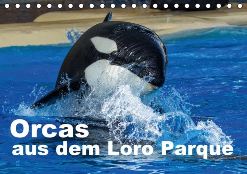Orcas aus dem Loro Parque (Tischkalender 2016 DIN A5 quer): Faszination Orcas (Monatskalender, 14 Seiten ) (CALVENDO Tiere) Calendars
