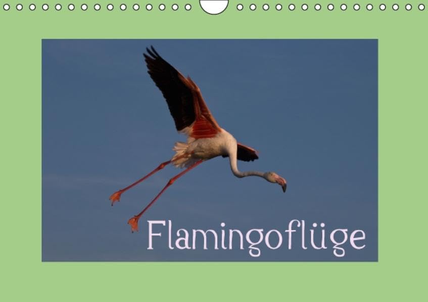 FlamingoflügeCH-Version (Wandkalender 2016 DIN A4 quer): Flugbilder der Flamingos aus der Camargue (Monatskalender, 14 Seiten ) (CALVENDO Tiere) Leisure, Home & Garden