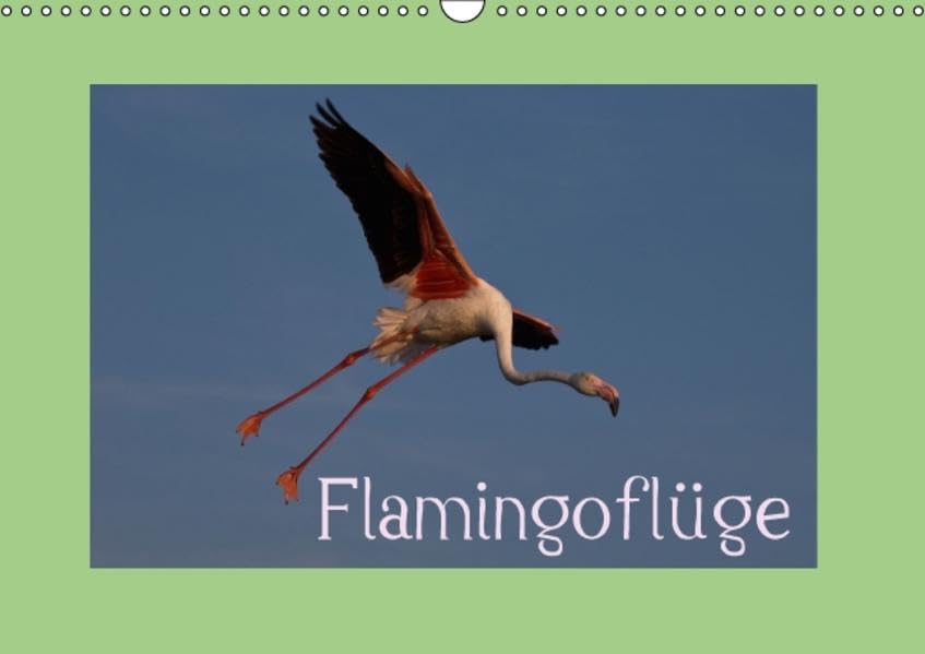 FlamingoflügeCH-Version (Wandkalender 2016 DIN A3 quer): Flugbilder der Flamingos aus der Camargue (Monatskalender, 14 Seiten ) (CALVENDO Tiere) Leisure, Home & Garden