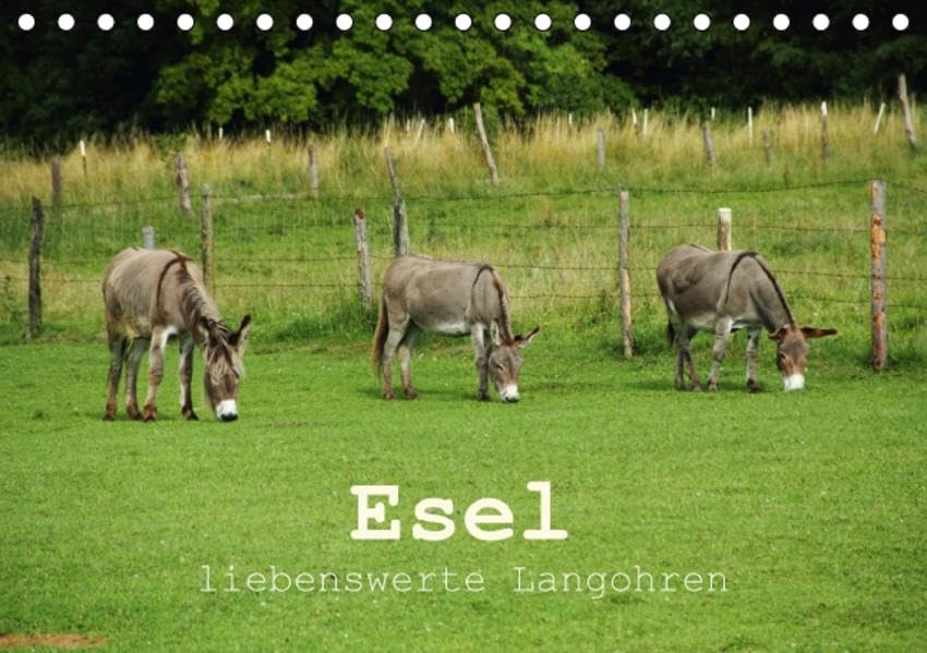 Esel - liebenswerte Langohren (Tischkalender 2016 DIN A5 quer): Ein Portrait über Esel, die liebenswerten Langohren. (Monatskalender, 14 Seiten ) (CALVENDO Tiere) Calendars