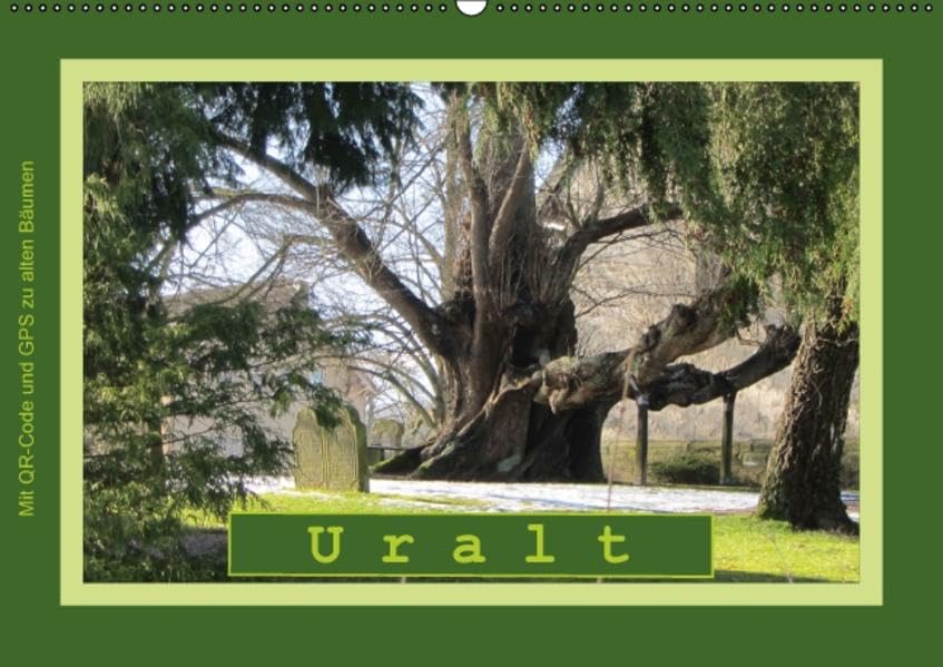 Uralt - Mit QR-Code und GPS zu alten Bäumen (Wandkalender 2016 DIN A2 quer): ALTE BÄUME - knorrig, verwittert, mystisch und schön (Monatskalender, 14 Seiten ) (CALVENDO Natur) Leisure, Home & Garden