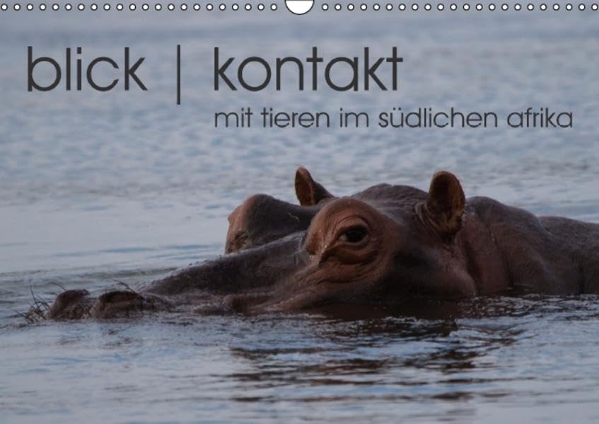 blick kontakt mit tieren im südlichen afrika (Wandkalender 2016 DIN A3 quer): tierbeobachtungen (Monatskalender, 14 Seiten ) (CALVENDO Tiere) Film, Art & Culture