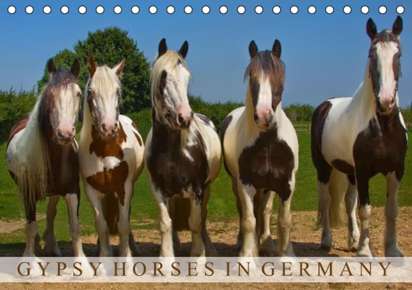 Gypsy Horses (Tischkalender 2016 DIN A5 quer): Schönheiten mit Puschelfüssen (Monatskalender, 14 Seiten ) (CALVENDO Tiere) Calendars