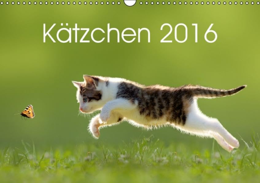 Kätzchen 2016 (Wandkalender 2016 DIN A3 quer): Katzenkalender mit abwechslungsreichen und stimmungsvoll gestalteten Bildern passend zur Jahreszeit. (Monatskalender, 14 Seiten ) (CALVENDO Tiere) Living & Furnishing