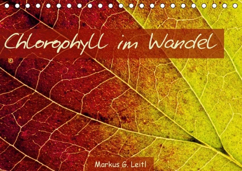 Chlorophyll im Wandel (Tischkalender 2016 DIN A5 quer): Blattstrukturen diverser Laubbäume, Sträucher und Weinreben während der Herbstverfärbung (Monatskalender, 14 Seiten ) (CALVENDO Natur) Calendars