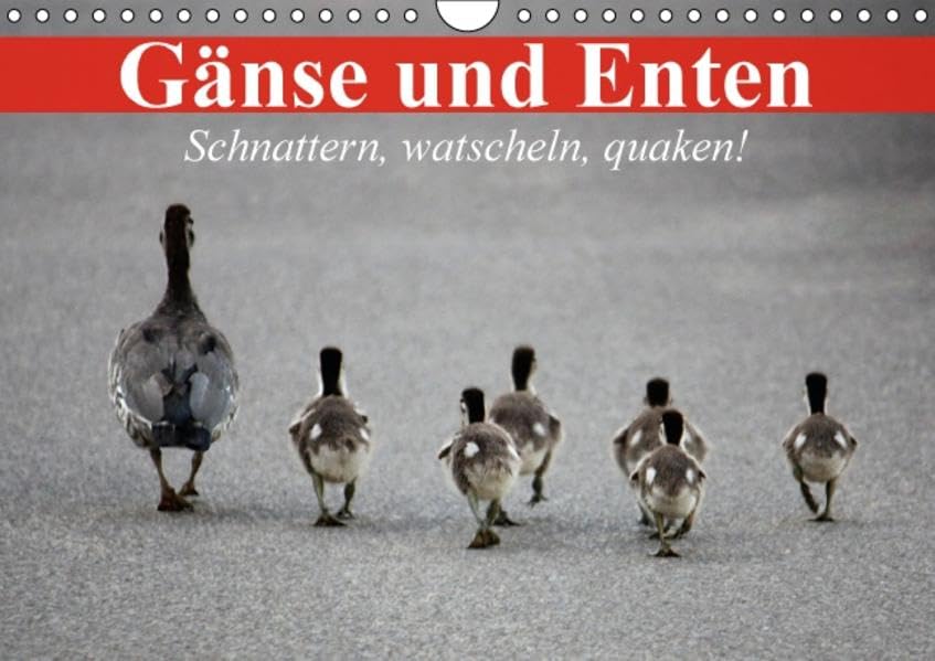 Gänse und Enten. Schnattern, watscheln, quaken! (Wandkalender 2016 DIN A4 quer): Schöne Wasservögel und bezaubernde Küken (Monatskalender, 14 Seiten ) (CALVENDO Tiere) Calendars