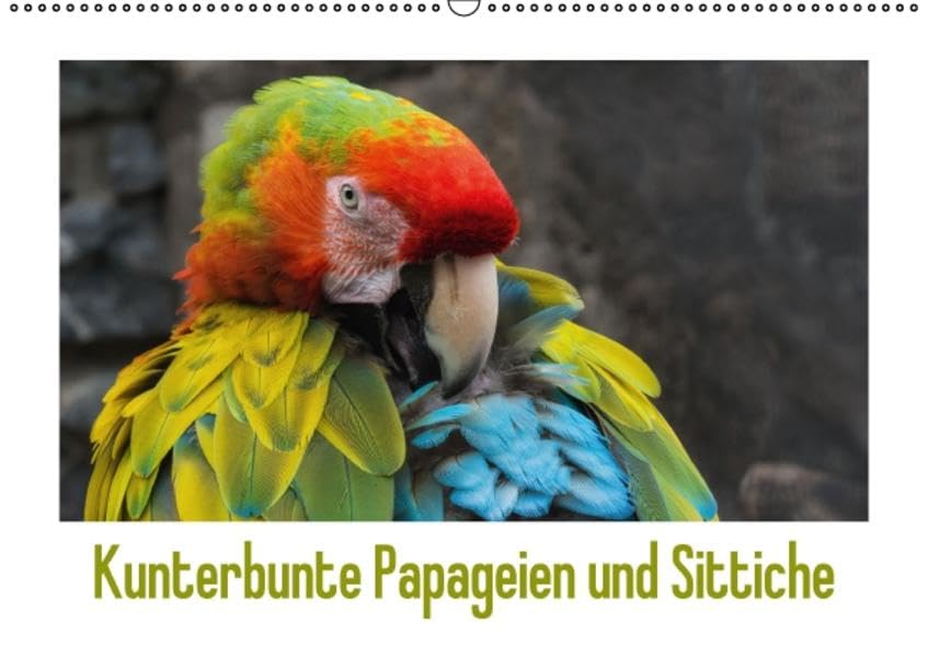 Kunterbunte Papageien und Sittiche (Wandkalender 2016 DIN A2 quer): Papageien und Sittiche - farbenfrohe Exoten (Monatskalender, 14 Seiten ) (CALVENDO Tiere) Calendars