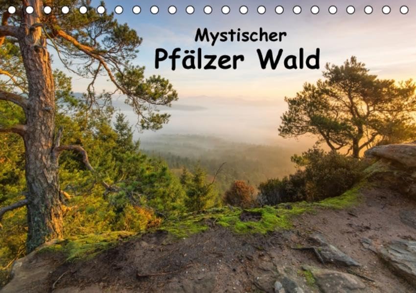 Mystischer Pfälzer Wald (Tischkalender 2016 DIN A5 quer): Der Pfälzer Wald im Licht (Monatskalender, 14 Seiten ) (CALVENDO Natur) Calendars