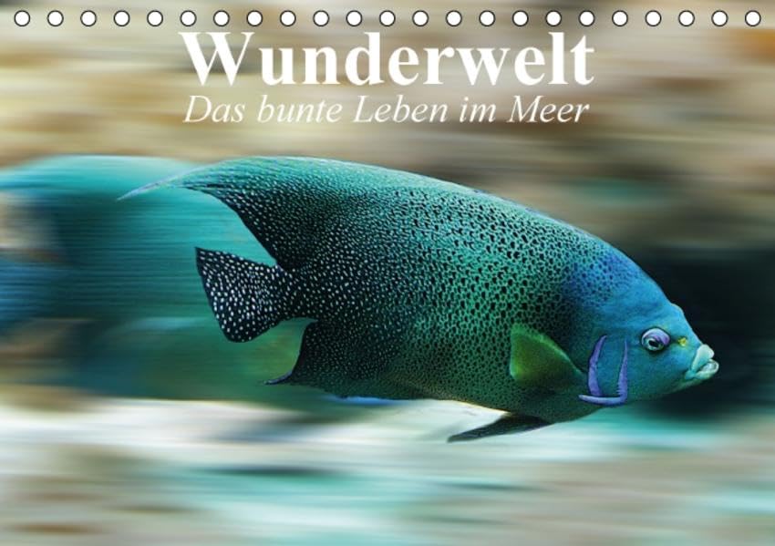Wunderwelt. Das bunte Leben im Meer (Tischkalender 2016 DIN A5 quer): Das farbenfrohe Treiben in den Ozeanen (Monatskalender, 14 Seiten ) (CALVENDO Tiere) Calendars