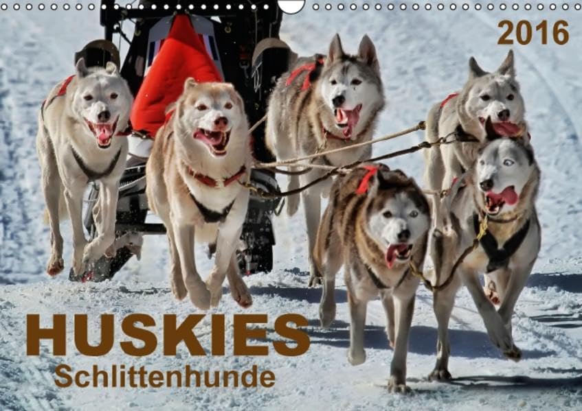 Huskies - Schlittenhunde (Wandkalender 2016 DIN A3 quer): Huskies - freundlich und aufmerksam, mit einem unglaublichen Orientierungssinn. (Monatskalender, 14 Seiten ) (CALVENDO Tiere) Calendars