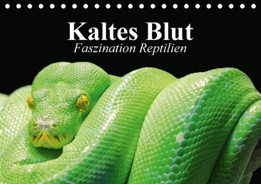 Kaltes Blut. Faszination Reptilien (Tischkalender 2016 DIN A5 quer): Urzeitliche Anpassungskünstler und schützenswerte Wesen (Monatskalender, 14 Seiten ) (CALVENDO Tiere) Calendars