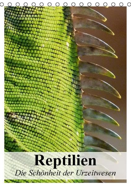 Reptilien. Die Schönheit der Urzeitwesen (Tischkalender 2016 DIN A5 hoch): Faszinierende Kaltblüter und anpassungsfähige Reptilien (Planer, 14 Seiten ) (CALVENDO Tiere) Living & Furnishing
