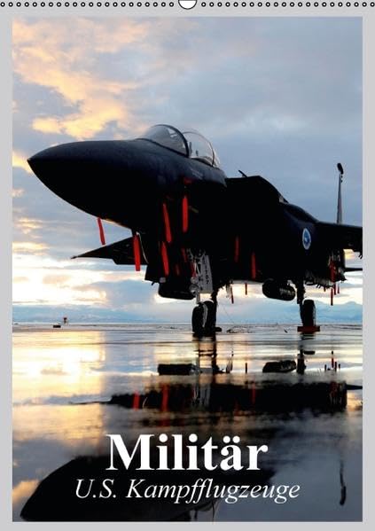 Militär. U.S. Kampfflugzeuge (Wandkalender 2016 DIN A2 hoch): Militärische Kampfflugzeuge und ihre Faszination (Planer, 14 Seiten ) (CALVENDO Technologie) Calendars