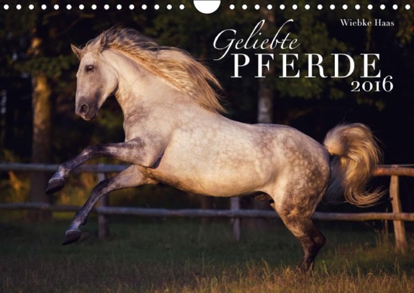 Geliebte Pferde (Wandkalender 2016 DIN A4 quer): Wunderschöne Pferde begleiten Sie durch das Jahr. (Monatskalender, 14 Seiten ) (CALVENDO Tiere) Calendars