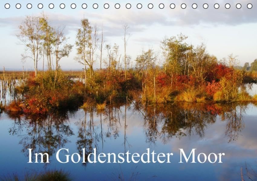 Im Goldenstedter Moor (Tischkalender 2016 DIN A5 quer): Impressionen einer norddeutschen Moorlandschaft (Monatskalender, 14 Seiten ) (CALVENDO Natur) Leisure, Home & Garden