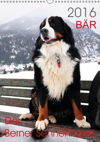 BÄR - Der Berner Sennenhund (Wandkalender 2016 DIN A3 hoch): Fotokalender mit Hundefotografien (Monatskalender, 14 Seiten ) (CALVENDO Tiere) Medicine