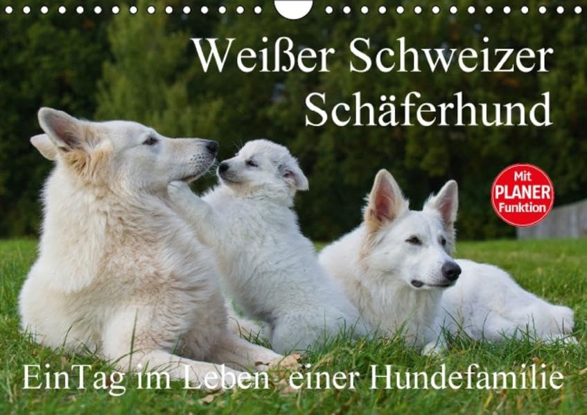 Weißer Schweizer Schäferhund - Ein Tag im Leben einer Hundefamilie (Wandkalender 2016 DIN A4 quer): Auf 13 Kalenderblättern läßt uns die ... 14 Seiten ) (CALVENDO Tiere) Natural Sciences
