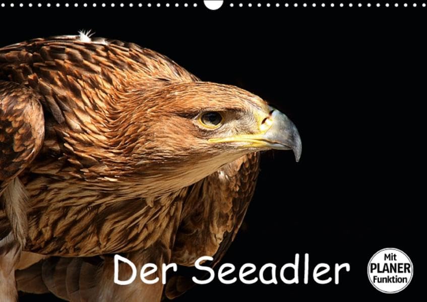 Der Seeadler (Wandkalender 2016 DIN A3 quer): Der Seeadler ist der größte in Deutschland heimische Greifvogel. (Geburtstagskalender, 14 Seiten ) (CALVENDO Tiere) Calendars