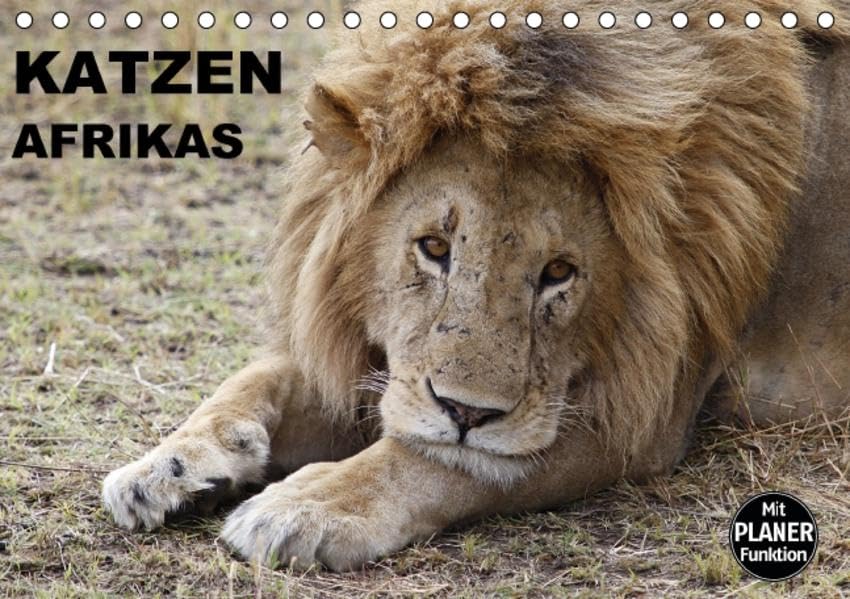Katzen Afrikas (Tischkalender 2016 DIN A5 quer): Faszinierende Begegnungen mit wilden Raubkatzen in Afrika (Geburtstagskalender, 14 Seiten ) (CALVENDO Tiere) Natural Sciences