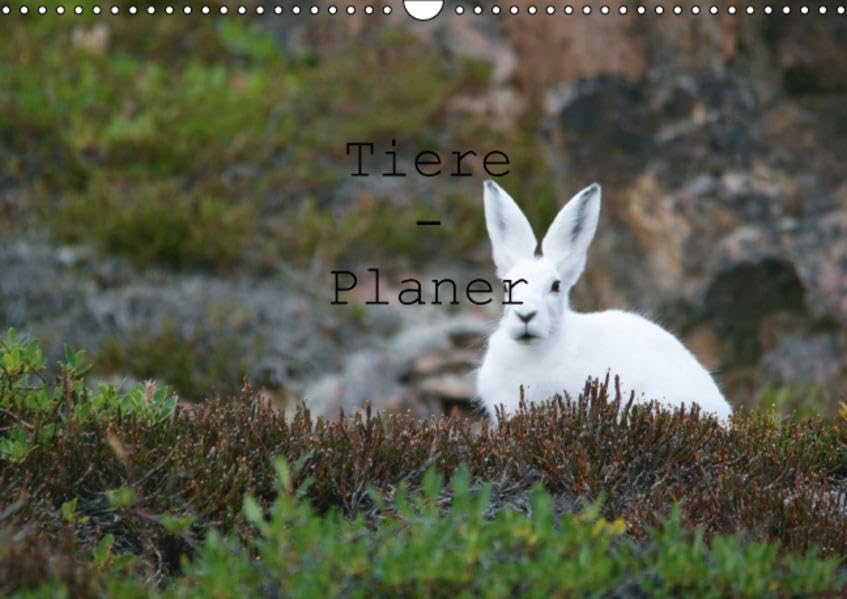 Tiere - Planer (Wandkalender 2016 DIN A3 quer): Fantastische Momentaufnahmen aus dem Tirereich. (Geburtstagskalender, 14 Seiten) (CALVENDO Tiere) Film, Art & Culture