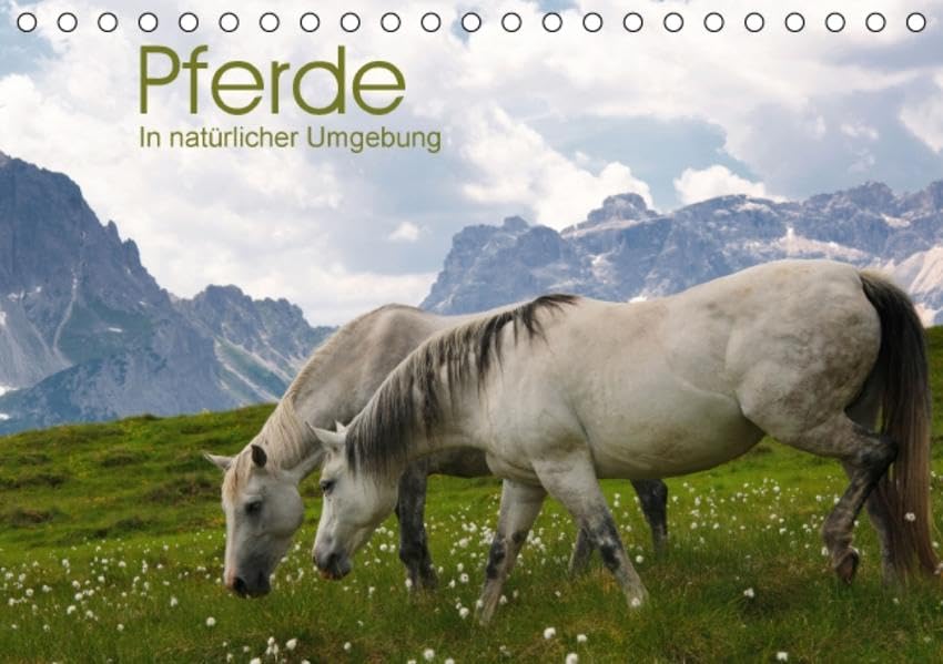 Pferde - In natürlicher Umgebung (Tischkalender 2016 DIN A5 quer): Wunderschöne und ausdrucksvolle Pferdebilder aus Südtirol erwarten Sie. (Monatskalender, 14 Seiten ) (CALVENDO Tiere) Film, Art & Culture