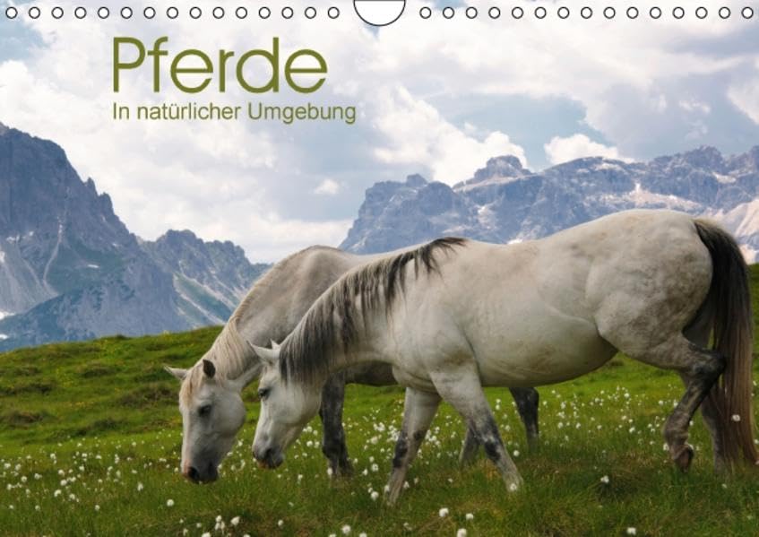Pferde - In natürlicher Umgebung (Wandkalender 2016 DIN A4 quer): Wunderschöne und ausdrucksvolle Pferdebilder aus Südtirol erwarten Sie. (Monatskalender, 14 Seiten ) (CALVENDO Tiere) Film, Art & Culture