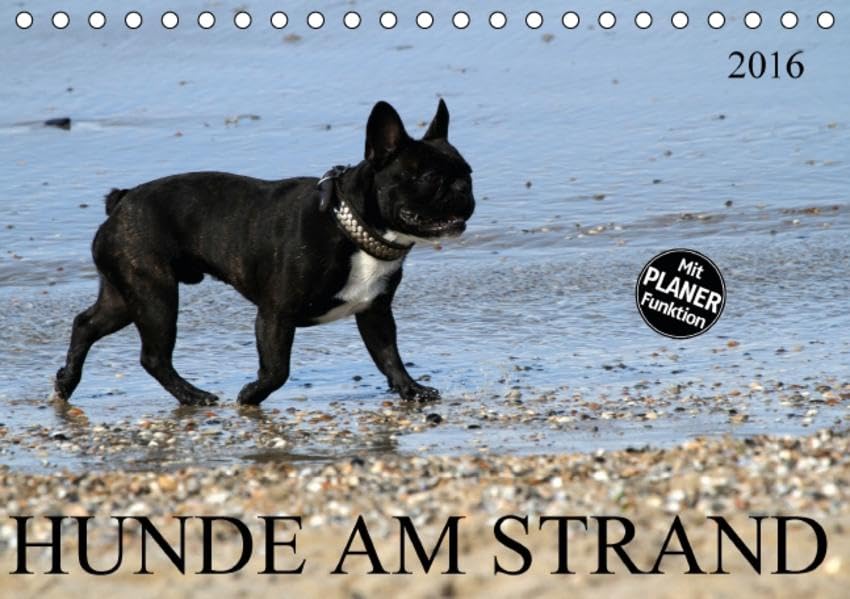 HUNDE AM STRAND (Tischkalender 2016 DIN A5 quer): Verschiedene Hunderassen am Strand (Geburtstagskalender, 14 Seiten ) (CALVENDO Tiere) Living & Furnishing