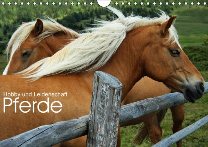 Pferde - Hobby und Leidenschaft (Wandkalender 2016 DIN A4 quer): Sie sehen wunderschöne und natürliche Bilder von Pferden im Freigelände. Aufgenommen ... (Monatskalender, 14 Seiten) (CALVENDO Tiere) Books