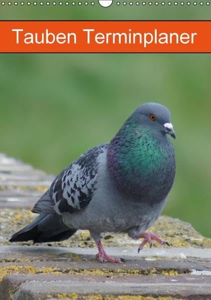 Tauben Terminplaner (Wandkalender 2016 DIN A3 hoch): Echte Schönheiten (Planer, 14 Seiten ) (CALVENDO Tiere) Natural Sciences