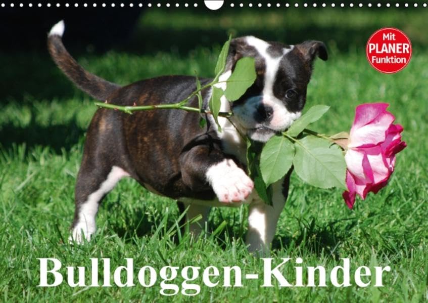 Bulldoggen-Kinder (Wandkalender 2016 DIN A3 quer): Kleine Herzensbrecher ganz groß! (Geburtstagskalender, 14 Seiten ) (CALVENDO Tiere) Living & Furnishing