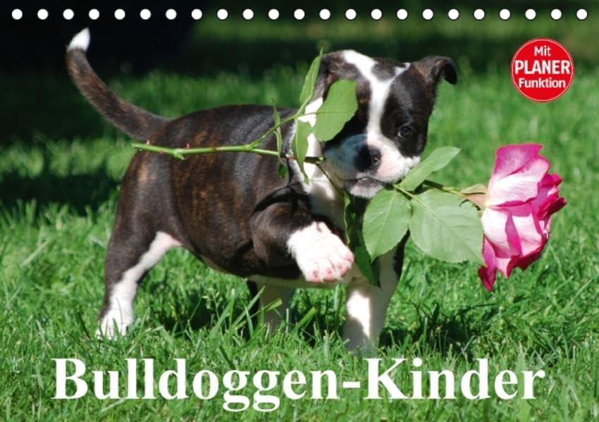 Bulldoggen-Kinder (Tischkalender 2016 DIN A5 quer): Kleine Herzensbrecher ganz groß! (Geburtstagskalender, 14 Seiten ) (CALVENDO Tiere) Living & Furnishing