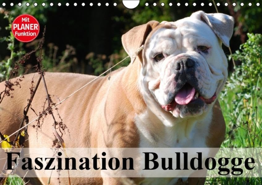 Faszination Bulldogge (Wandkalender 2016 DIN A4 quer): Liebenswerte Muskelpakete mit Charme und Charakter (Geburtstagskalender, 14 Seiten ) (CALVENDO Tiere) Living & Furnishing