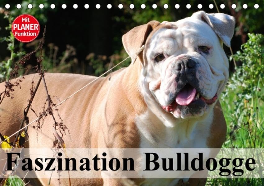 Faszination Bulldogge (Tischkalender 2016 DIN A5 quer): Liebenswerte Muskelpakete mit Charme und Charakter (Geburtstagskalender, 14 Seiten ) (CALVENDO Tiere) Living & Furnishing