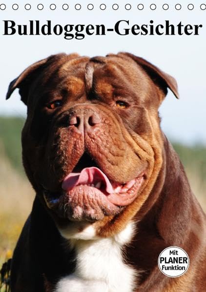 Bulldoggen-Gesichter (Tischkalender 2016 DIN A5 hoch): Die beeindruckenden Gesichter von Bulldoggen (Planer, 14 Seiten ) (CALVENDO Tiere) Pets