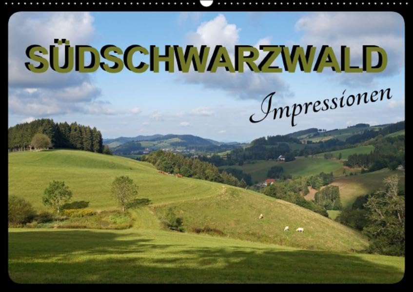 Südschwarzwald - Impressionen (Wandkalender 2016 DIN A2 quer): Eine der schönsten Erholungsregionen Deutschlands ist der Südschwarzwald mit seinen ... (Monatskalender, 14 Seiten ) (CALVENDO Natur) Photography