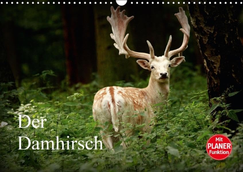 Der Damhirsch (Wandkalender 2016 DIN A3 quer): Heute ist die Art in ganz Europa verteilt. (Geburtstagskalender, 14 Seiten ) (CALVENDO Tiere) Children's books