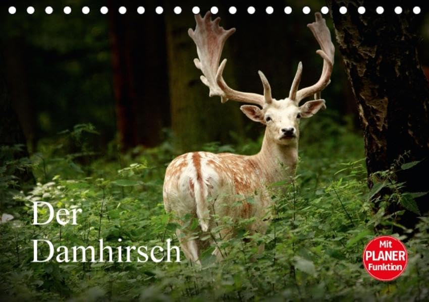 Der Damhirsch (Tischkalender 2016 DIN A5 quer): Heute ist die Art in ganz Europa verteilt. (Geburtstagskalender, 14 Seiten ) (CALVENDO Tiere) Children's books