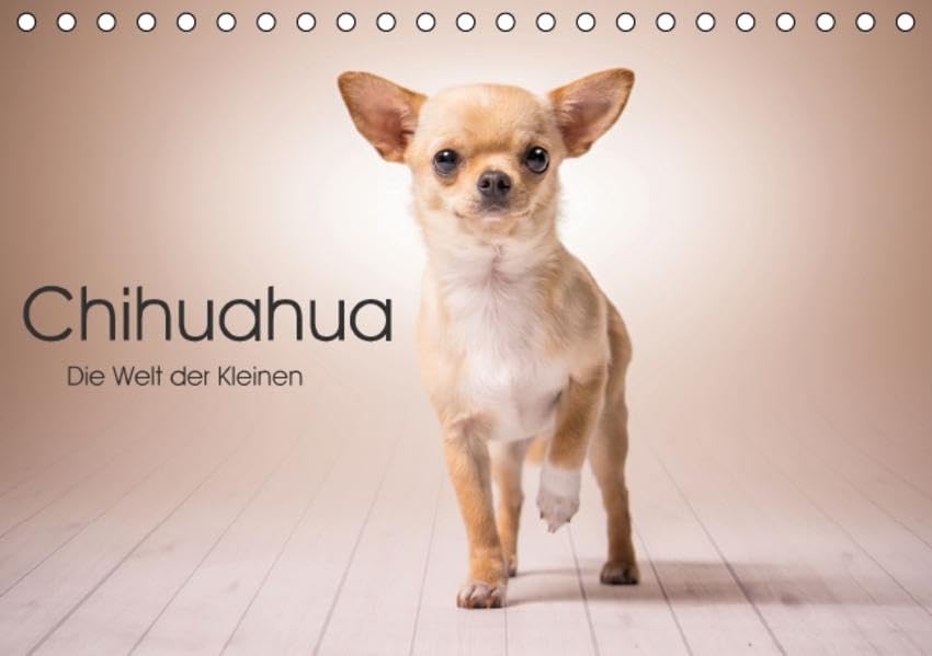 Chihuahua - Die Welt der Kleinen (Tischkalender 2016 DIN A5 quer): Kein anderer ist so gefragt wie der Chihuahua unter den kleinen Hunden (Geburtstagskalender, 14 Seiten ) (CALVENDO Tiere) Photography