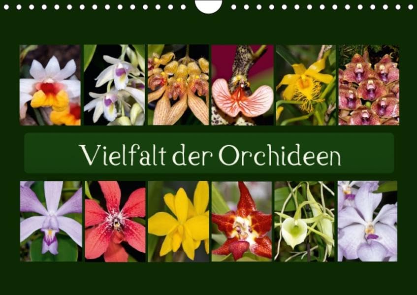 Vielfalt der Orchideen (Wandkalender 2017 DIN A4 quer): Mit wunderschönen Orchideenbilder durch das ganze Jahr. (Monatskalender, 14 Seiten) (CALVENDO Natur) Leisure, Home & Garden