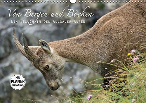 Von Bergen und Böcken (Wandkalender 2017 DIN A3 quer): Ein Besuch in den Allgäuer Alpen (Geburtstagskalender, 14 Seiten) (CALVENDO Natur) Leisure, Home & Garden