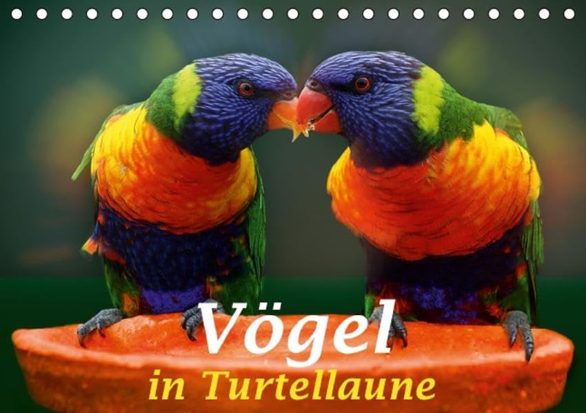 Vögel in Turtellaune (Tischkalender 2017 DIN A5 quer): Bilder turtelnder Vögel (Monatskalender, 14 Seiten) (CALVENDO Tiere) Leisure, Home & Garden