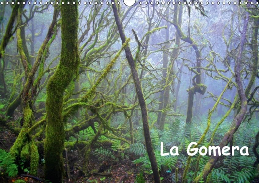 La Gomera (Wandkalender 2017 DIN A3 quer): Traumhafte Landschaften, geheimnisvolle Urwälder und unberührte Natur - das ist die Insel La Gomera. (Monatskalender, 14 Seiten ) (CALVENDO Orte) Leisure, Home & Garden