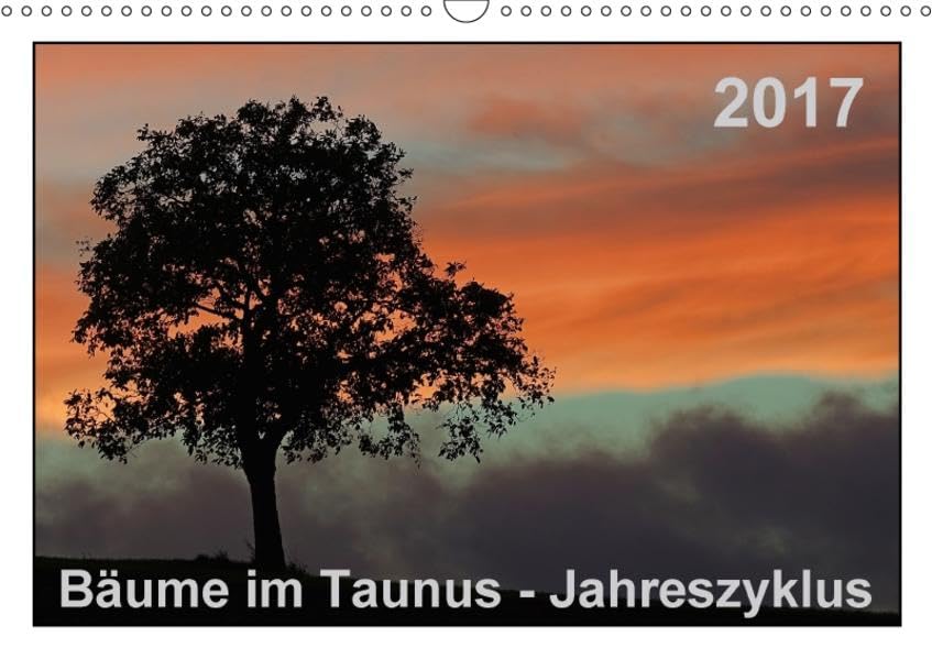 Bäume im Taunus - Jahreszyklus (Wandkalender 2017 DIN A3 quer): Stimmungsvolle Bilder von Bäumen aus dem Taunus im Laufe eines Jahres (Monatskalender, 14 Seiten ) (CALVENDO Natur) Living & Furnishing