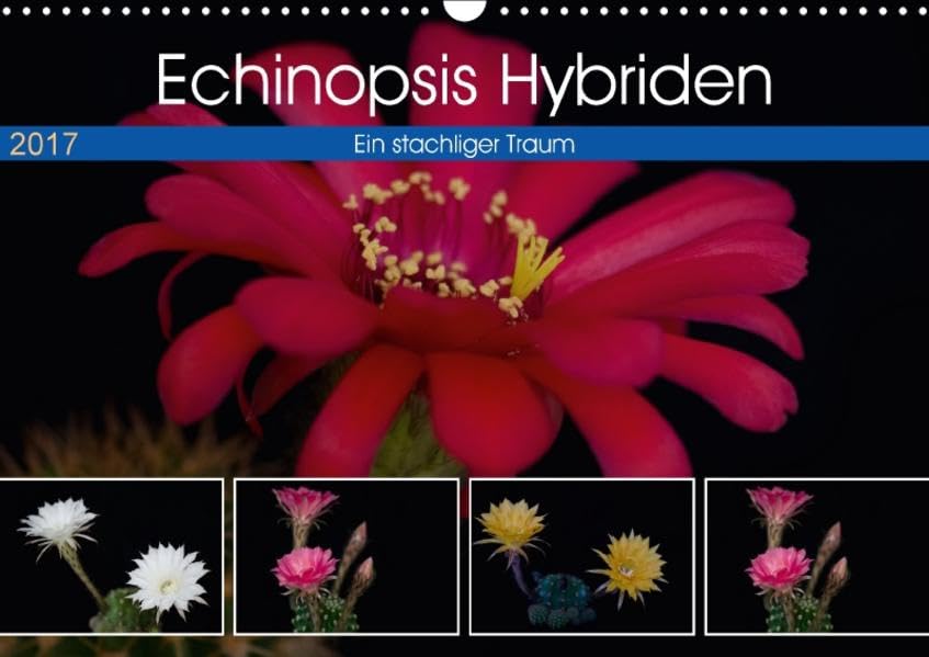 Echinopsis Hybriden. Ein stachliger Traum (Wandkalender 2017 DIN A3 quer): Kakteen Blüten (Monatskalender, 14 Seiten ) book
